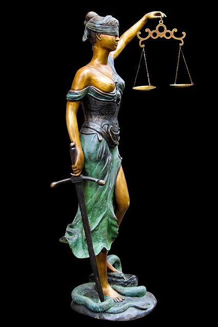 lawyer-attorney-law-judge-640x480-81071669.jpeg